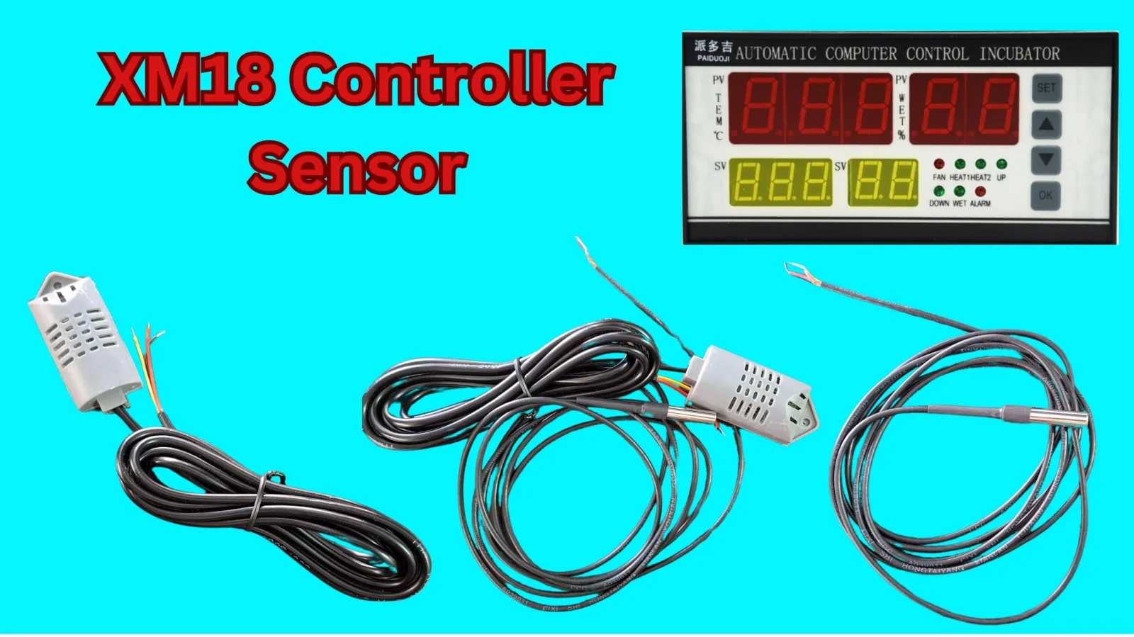 XM-18 Controller Sensor: Your Perfect Solution for Egg Incubation in Bangladesh