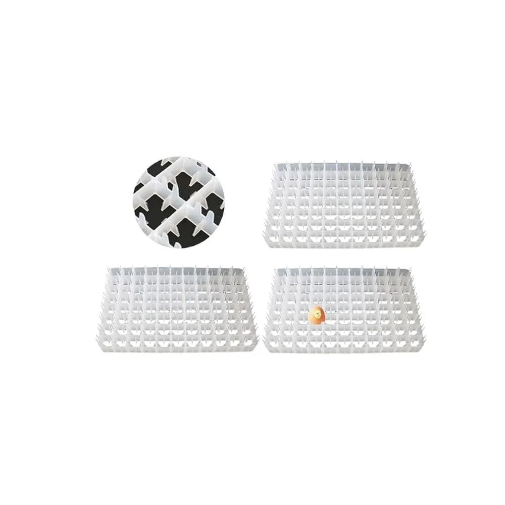 China 63 Egg Setter Tray
