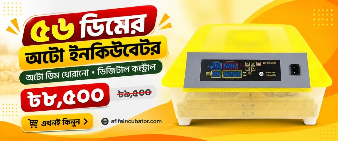 ব্যানার 1