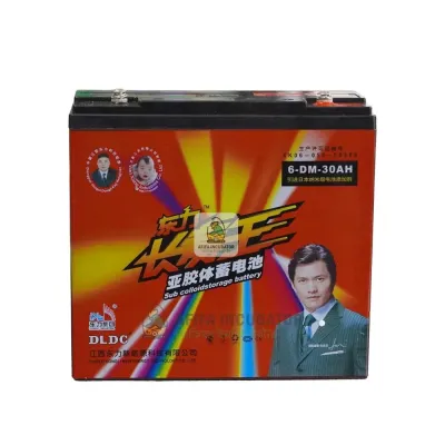 DLDC গোল্ডেন সান ১২ ভোল্ট ৩০Ah ড্রাই ব্যাটারি — 12V 30Ah Battery